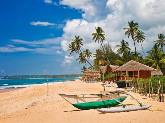 Отдых на Шри-Ланке: что нужно знать туристу