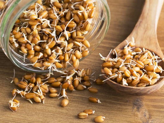 Пророщенная пшеница — польза и как употреблять