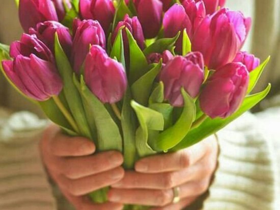 Заказать тюльпаны для любимой