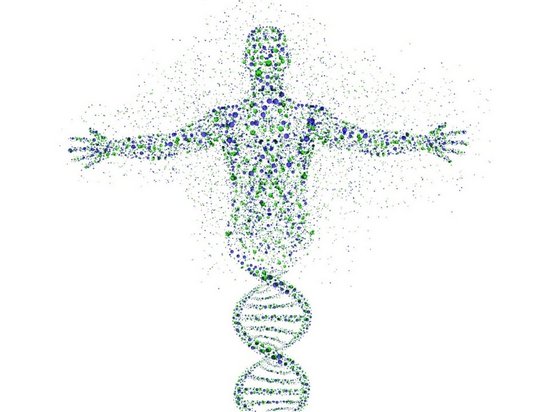 Генетика: что изучает, какую роль играет в жизни человека